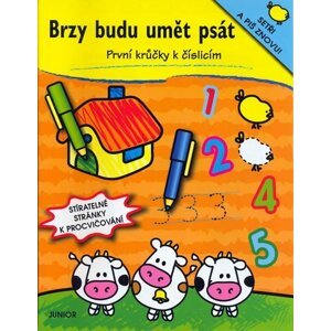 Brzy budu umět psát - První krůčky k číslicím - Zuzana Pospíšilová