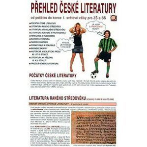 Přehled české literatury - Od počátku do konce 1. světové války pro ZŠ a SŠ - Dagmar Bradáčová