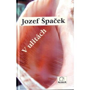 V ulitách - Jozef Špaček