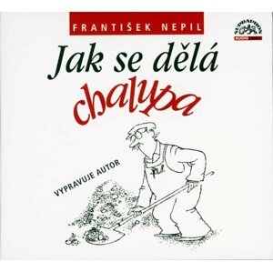 Jak se dělá chalupa CD - František Nepil