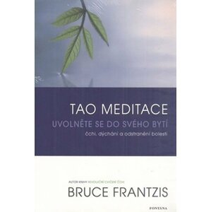 Tao meditace - Bruce Frantzis