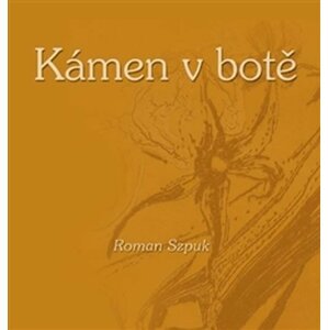 Kámen v botě - Roman Szpuk