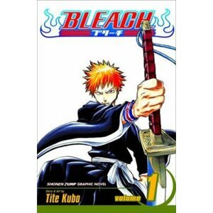 Bleach 1: The Death and the Strawberry - Noriaki Kubo