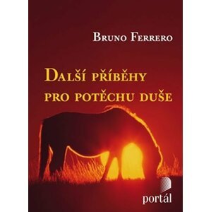 Další příběhy pro potěchu duše - Bruno Ferrero