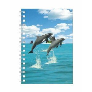 Deníček - Úžaska - Delfíni