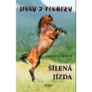 Jinny z Finmory Divoká jízda - Patricia Leitch