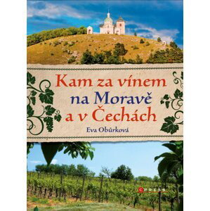 Kam za vínem na Moravě a v Čechách - Eva Obůrková