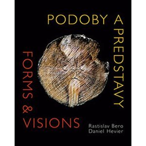 Podoby a predstavy - Forms & Visions (AJ, slovensky) - Daniel Hevier; Rastislav Bero