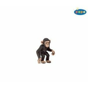 Šimpanz mládě