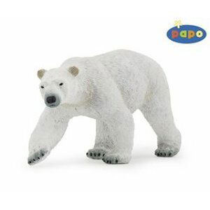 Medvěd lední velký