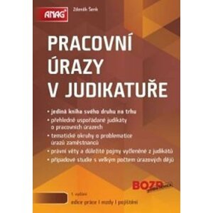 Pracovní úrazy v judikatuře - Zdeněk Šenk