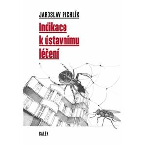 Indikace k ústavnímu léčení - Jaroslav Pichlík