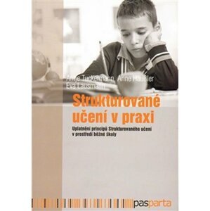 Strukturované učení v praxi - Uplatnění principů Strukturovaného učení v prostředí běžné školy - autorů kolektiv