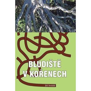 Bludiště v kořenech - Jiří Strádal