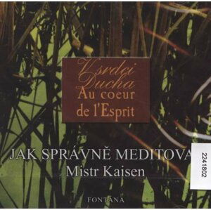 Jak správně meditovat - CD