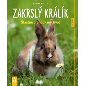 Zakrslý králík: Šťastně prohopkaný život - Jak na to - Monika Weglerová