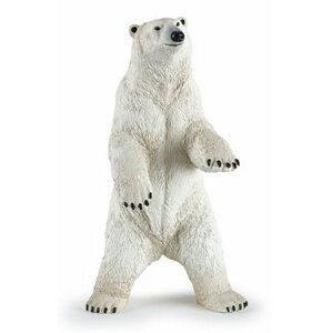 Medvěd lední stojící
