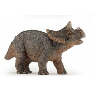 Triceratops mládě