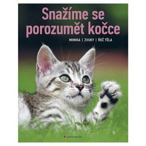 Snažíme se porozumět kočce - Mimika, zvuky, řeč těla - Brigitte Rauth–Widmannová