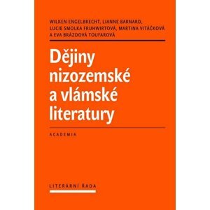 Dějiny nizozemské a vlámské literatury - Engelbrecht Wilken