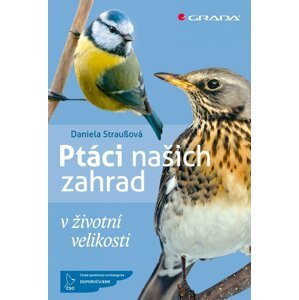 Ptáci našich zahrad v životní velikosti - Daniela Straußová