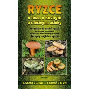 Ryzce v lese, v kuchyni a s léčivými účinky - Radomír Socha