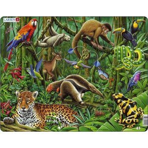 Puzzle MAXI - Deštný prales Jižní Ameriky/70 dílků