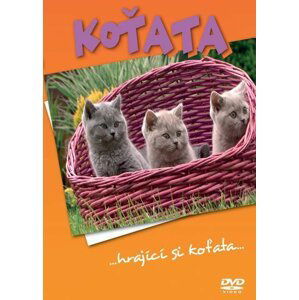 Koťata - DVD