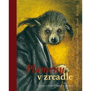 Plameny v zrcadle - Helena Wernischová