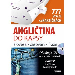 Angličtina do kapsy - slovesa, časování, fráze na kartičkách - autorů kolektiv