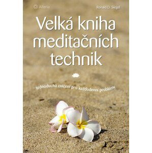 Velká kniha meditačních technik - Jednoduchá cvičení pro každodenní problémy - Ronald D. Siegel