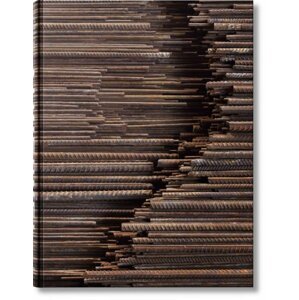 Ai Weiwei (limited edition) - Ai Weiwei