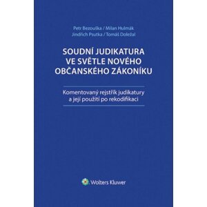 Soudní judikatura ve světle nového občanského zákoníku - Komentovaný rejstřík judikatury a její použití pro rekodifikaci - Petr Bezouška