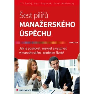 Šest pilířů manažerského úspěchu - Jak je posilovat, rozvíjet a využívat v manažerském i osobním životě - Pavel Náhlovský