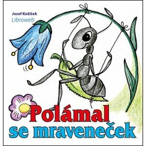 Polámal se mraveneček