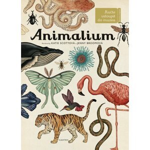 Animalium - Jenny Broom