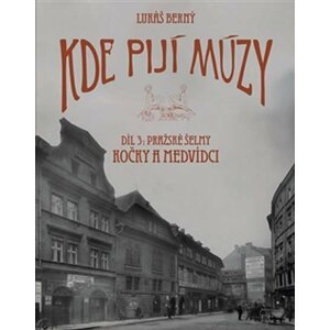 Kde pijí múzy 3 - Pražské šelmy. Kočky a Medvídci - Lukáš Berný