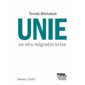 Unie ve víru migrační krize - Tomáš Břicháček