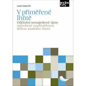 V přiměřené lhůtě - Odčinění nemajetkové újmy způsobené nepřiměřenou délkou soudního řízení - Lukáš Hadamčík