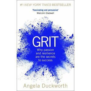 Grit : Why Passion and Resilience are the Secrets to Success - Angela Duckworth