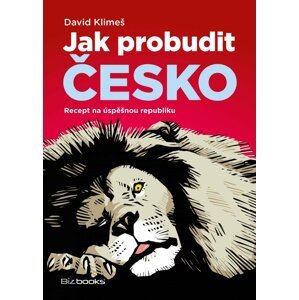 Jak probudit Česko - Recept na úspěšnou republiku - David Klimeš