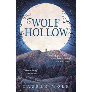 Wolf Hollow - Lauren Wolk