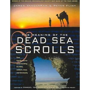 The Meaning of the Dead Sea Scrolls - James C. VanderKam