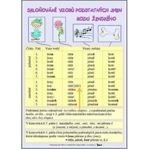 Skloňování vzorů podstatných jmen rodu ženského / Skloňování vzorů podstatných jmen rodu středního (karta)