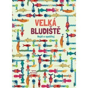 Velká bludiště - Najdi a spočítej - Agnese Baruzziová