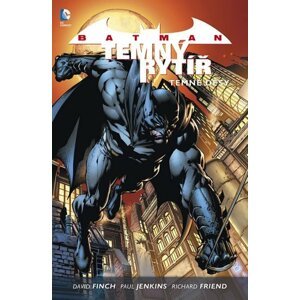 Batman: Temný rytíř 1 - Temné děsy - David Finch