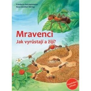 Mravenci - Jak vyrůstají a žijí? - Friedrun Reichenstetterová