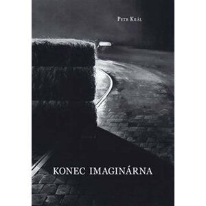 Konec imaginárna - Petr Král