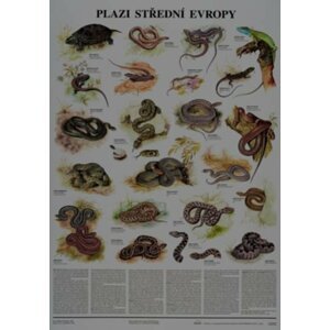 Plakát - Plazi střední Evropy