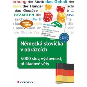 Německá slovíčka v obrázcích - 3000 slov, výslovnost, příkladové věty - Arndt Knieper